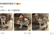 比亚迪李云飞连发两条微博：狗可以咬人但人不能咬狗 鬼吹灯！