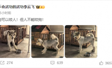 比亚迪李云飞连发两条微博：狗可以咬人但人不能咬狗 鬼吹灯！