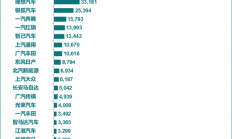 2025年11月新能源汽车厂商销量榜公布：特斯拉跌出前5