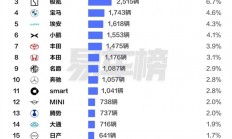 中国香港前11月汽车品牌销量榜：比亚迪力压特斯拉 拿下销冠