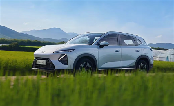 不到9万买家用插混SUV 新款五菱星光S上市：8.98万起